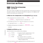 Energy Flow In Ecosystems Answers  Consumers Energy  Xcel Energy Intended For Energy Flow In Ecosystems Worksheet