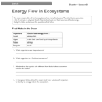 Energy Flow In Ecosystems Enrich C4L2 In Energy Flow In Ecosystems Worksheet Answers