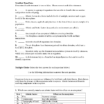Energy Flow In Living Things Worksheet  Briefencounters Pertaining To Science 10 Worksheet 3 Energy Flow In Ecosystems Answer Key