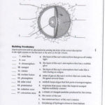 Energy From The Sun Worksheet Answers  Briefencounters Pertaining To Energy From The Sun Worksheet Answers