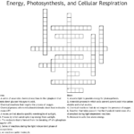 Energy Photosynthesis And Cellular Respiration Crossword  Wordmint In Photosynthesis Amp Cellular Respiration Worksheet Answers