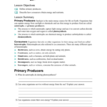 Energy Producers And Consumers For 3 2 Energy Producers And Consumers Worksheet Answer Key