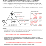 Energy Through An Ecosystem Worksheet Answer Key Together With 3 3 Energy Flow In Ecosystems Worksheet Answers