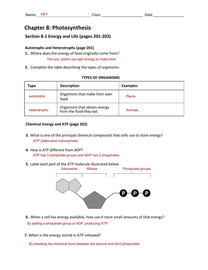 Energy Worksheets Grade 5 — Excelguider.com