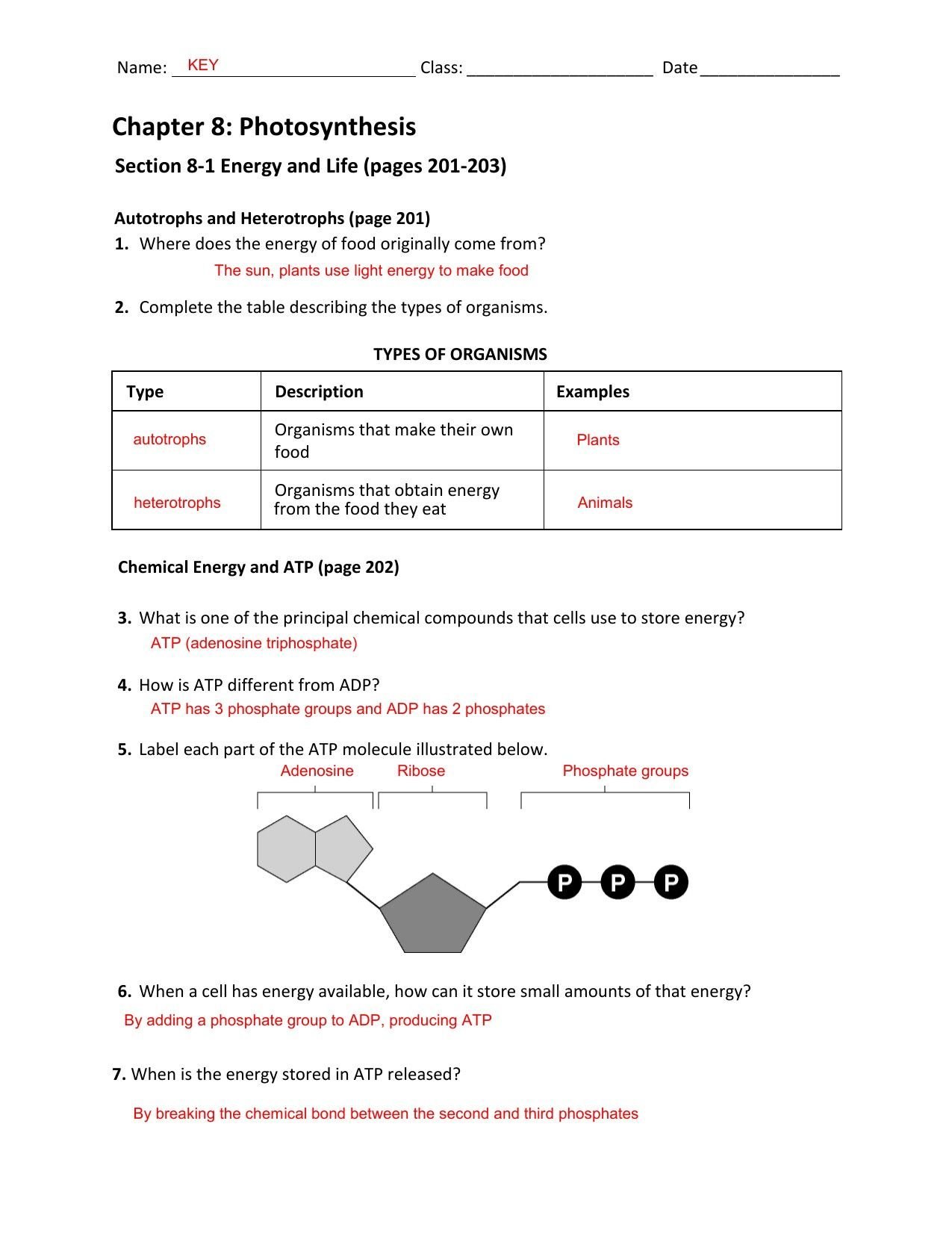 Energy Worksheets Grade 5  Briefencounters Or Energy Worksheets Grade 5