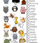 English Esl Animal Names Worksheets  Most Downloaded 15 Results Or Baby Animals Worksheet