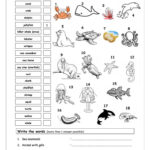 English Esl Marine Worksheets  Most Downloaded 18 Results For Animals In Spanish Worksheet
