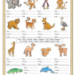 English Esl Wild Animals Worksheets  Most Downloaded 93 Results For Animal Classification Worksheet Pdf