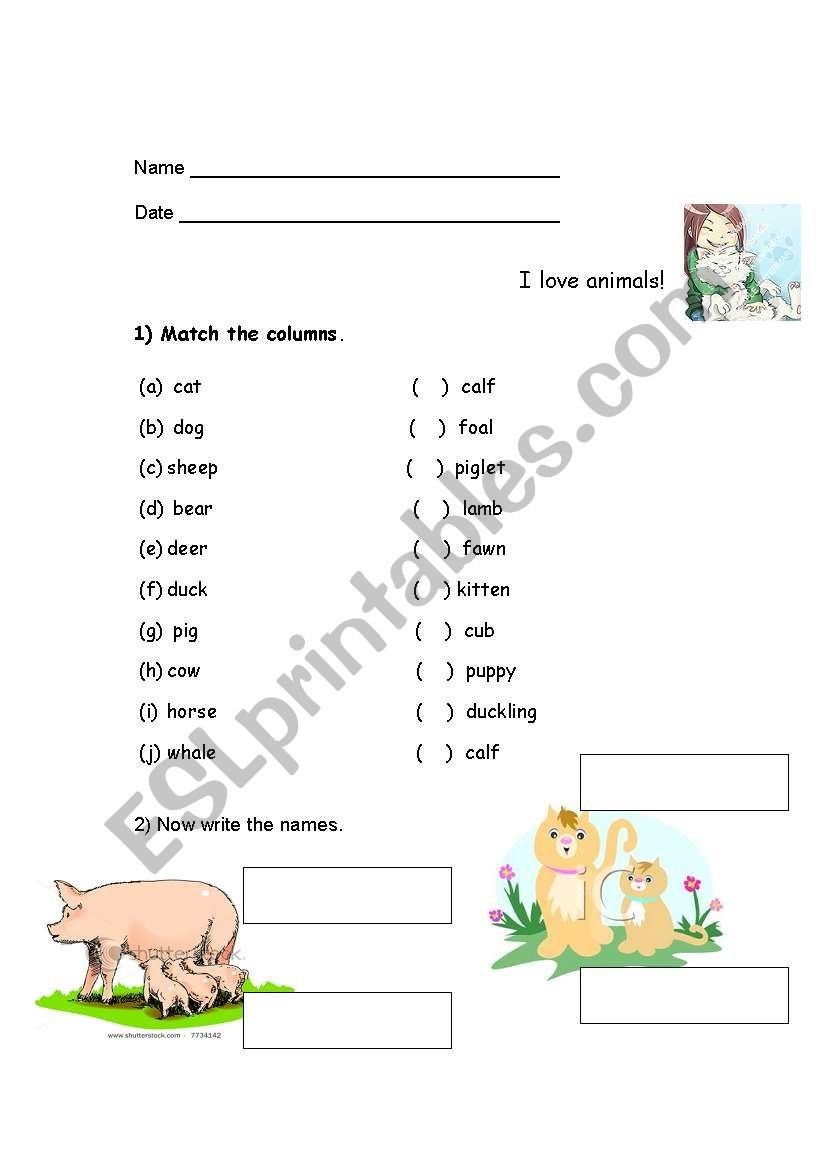 English Worksheets Baby Animals Together With Baby Animals Worksheet