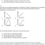 Enzymes Practice Questions 1  Pdf Pertaining To Enzyme Graphing Worksheet Answer Key