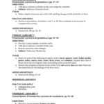 Español 3  Elgin Public Schools And Preterite Practice Worksheet