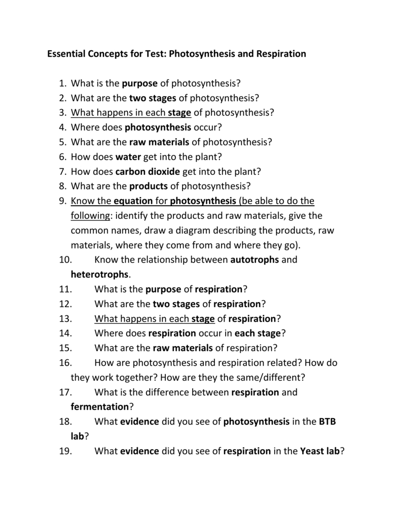 Essential Concepts For Test Photosynthesis And Respiration 1 What As Well As Bozeman Biology Photosynthesis And Respiration Video Worksheet Answers