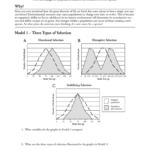 Evolution Evolution And Selection Pogil Answers Within Global Climate Change Worksheet Answers Pogil