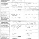 Evolution Of Democracy From Jefferson To Jackson  Ap United States And Jacksonian Democracy Worksheet Answers