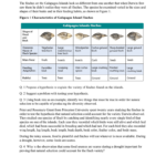 Evolution Of Galapagos Island Finches The Finches On The With Galapagos Island Finches Worksheet