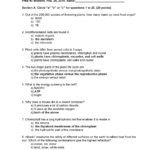 Exam 2016  Plantbi 40 The Secret Life Of Plants  Studocu Intended For Dna The Secret Of Life Worksheet Answers
