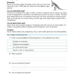 Explanation Text  How Are Fossils Formed Regarding Fossil Formation Worksheet
