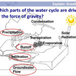 Exploring The Water Cycle Lesson  Ppt Download Throughout The Water Cycle Worksheet Answer Key