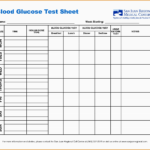 Fast Metabolism Diet Meal Plan Spreadsheet – Sugar Blood Glucose Log ... For Blood Test Spreadsheet