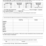 Fetal Pig Dissection Prelab Together With Fetal Pig Dissection Pre Lab Worksheet Answers