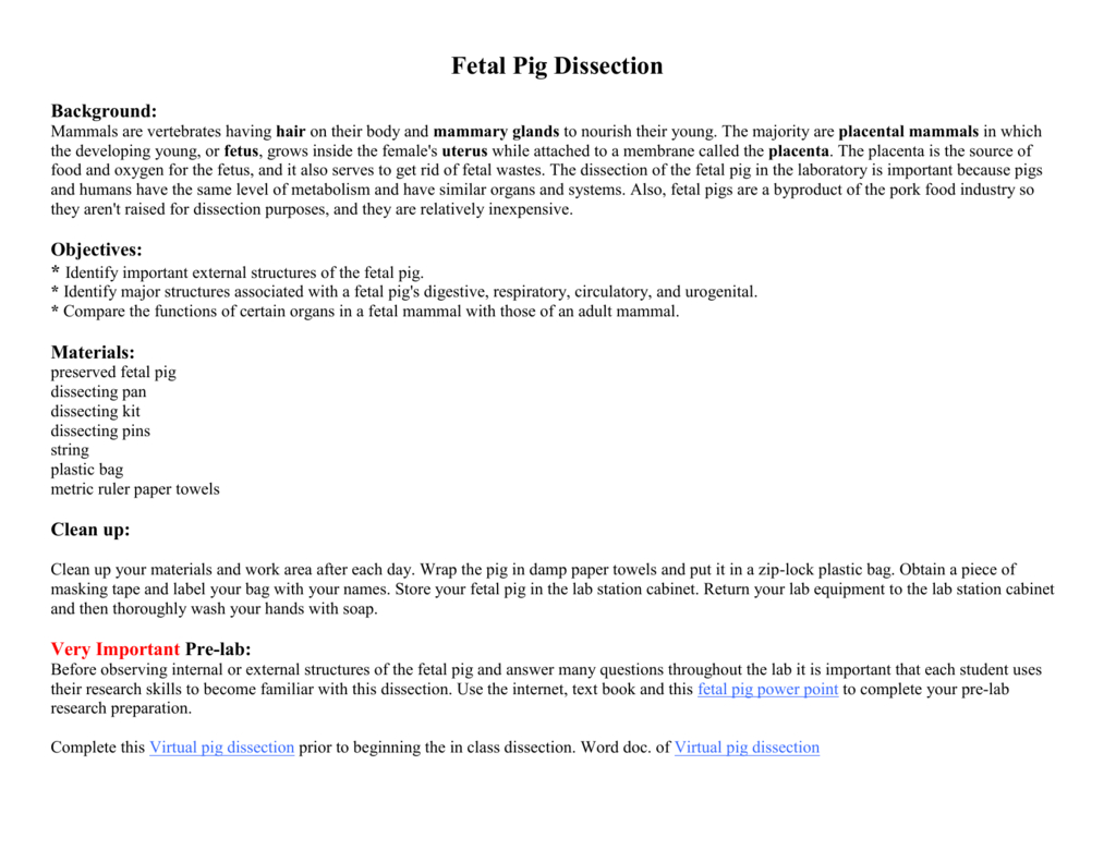 Fetal Pig Dissection With Regard To Fetal Pig Dissection Pre Lab Worksheet Answers
