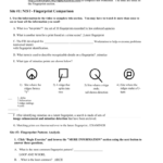 File  Alexis Rodriguez And Fingerprint Worksheet Answers