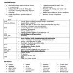 File As Well As Levels Of Biological Organization Worksheet