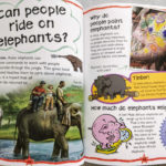 First Questions  Answers  Elephants  Why Do Elephants Trumpet For A Tale Of Two Elephants Worksheet