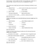 Fission And Fusion Worksheet  Briefencounters In Fission And Fusion Worksheet