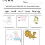Five Senses Worksheet For Kids  Free Kindergarten Learning Worksheet And Preschool Spanish Worksheets