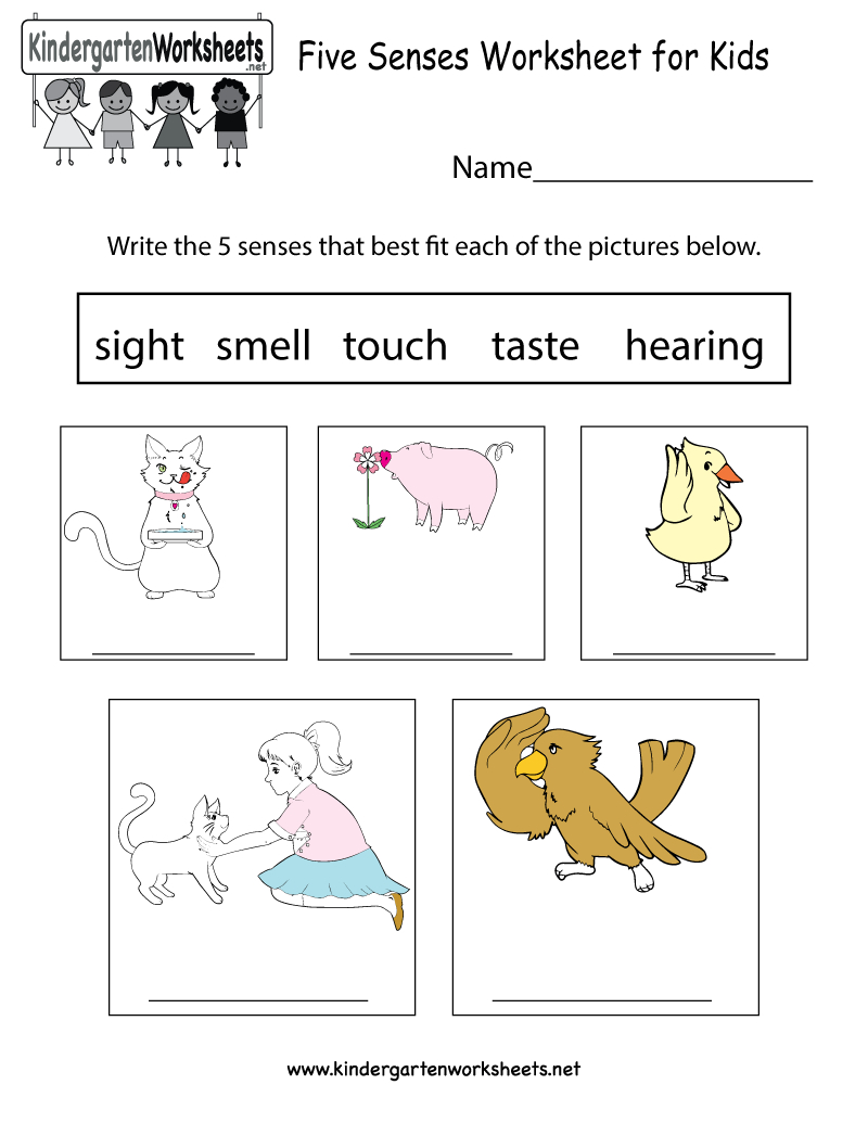 Five Senses Worksheet For Kids  Free Kindergarten Learning Worksheet With Science Worksheets For Kids