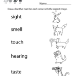 Five Senses Worksheet  Free Kindergarten Learning Worksheet For Kids As Well As Kindergarten Science Worksheets
