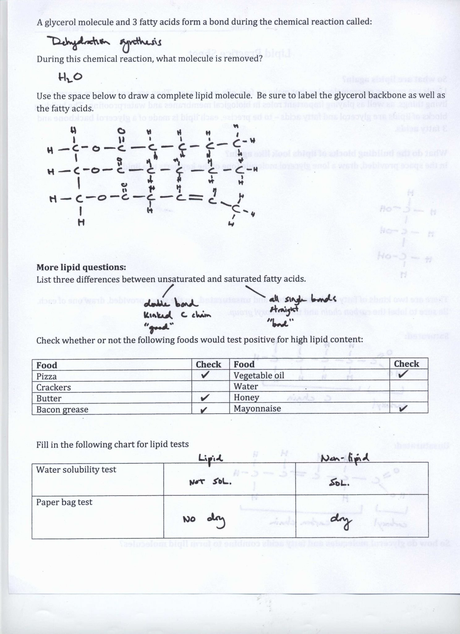 Five Types Of Chemical Reaction Worksheet  Briefencounters With Types Of Chemical Reactions Worksheet Pogil