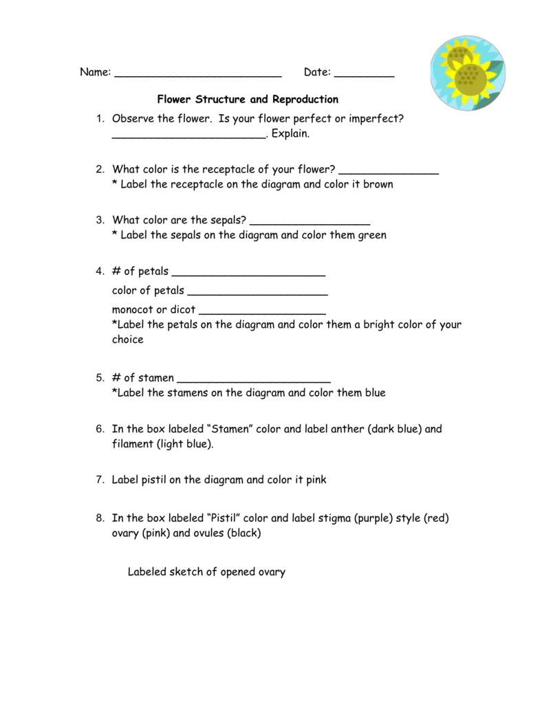 Flower Structure And Reproduction Report Or Flower Structure And Reproduction Worksheet Answers