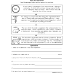 Food Chain And Food Web Worksheets For Food Chain Worksheet Answers