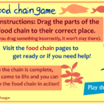 Food Chain Essential Questions  Brainpop Educators In Food Chain Worksheet 5Th Grade