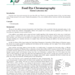 Food Dye Chromatography Intended For Leaf Chromatography Lab Worksheet