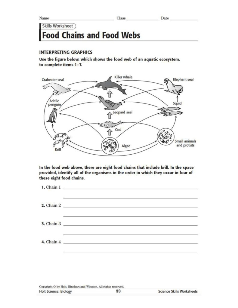 Food Web Worksheet Order Of Operations Worksheet Nuclear Decay With Regard To Food Chain Worksheet Pdf