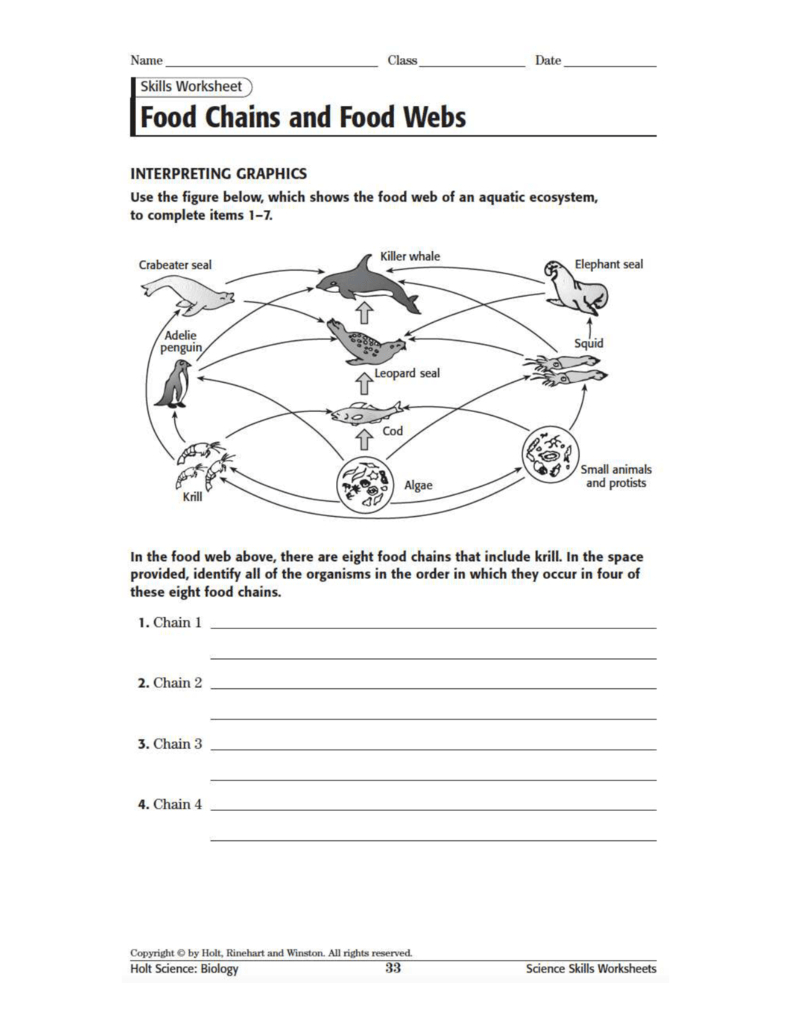 Food Webs And Food Chains Worksheet And Food Chain Worksheet Answers