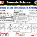 Forensic Science Activities  Real Life Science For Crime Scene Activity Worksheets