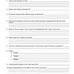 Forensic Science Worksheets  Yooob Within Hair And Fiber Evidence Worksheet Answers