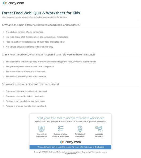 forest-food-web-quiz-worksheet-for-kids-study-inside-food-web-practice