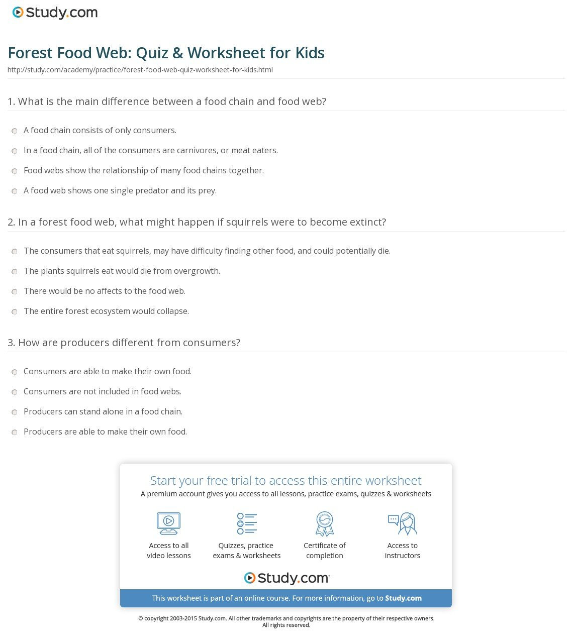 Forest Food Web Quiz  Worksheet For Kids  Study Inside Food Web Practice Worksheet