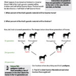 Fractions And Horse Breed Genetics  Horse Lover's Math Throughout Horse Stable Management Worksheets