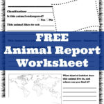 Free Animal Report Worksheet  Only Passionate Curiosity Pertaining To Free Animal Classification Worksheets