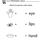 Free Body Parts Word Recognition Worksheet For Preschool Inside Body Image Worksheets