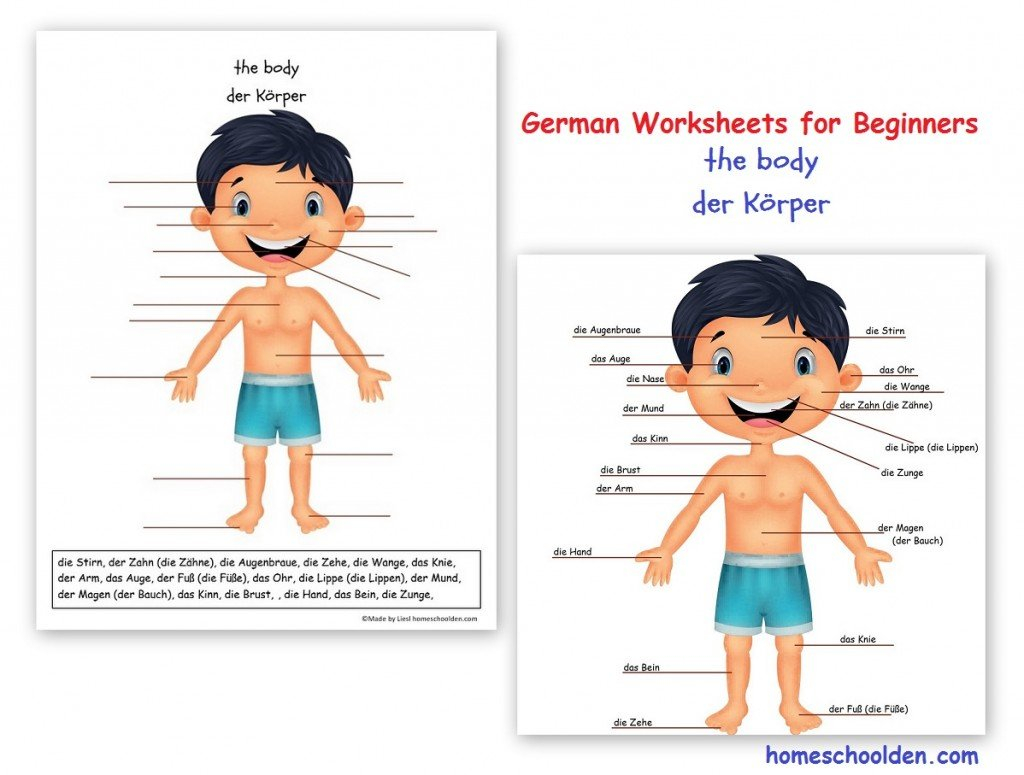 Free German Worksheets For Beginners  Homeschool Den For German For Beginners Worksheets