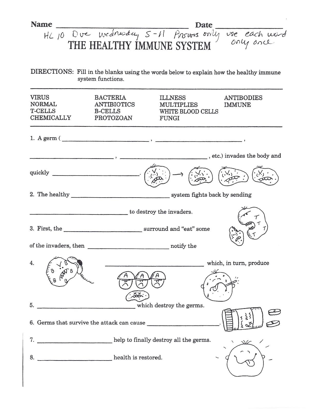 Free High School Health Worksheets Printables  Learning Sample For Along With Middle School Health Worksheets Pdf