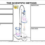 Free Worksheet Elementary Level Scientific Method  A Better Me Day Along With Science Project Worksheet