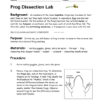 Frog Dissection 2014 Within Frog Dissection Lab Worksheet Answer Key